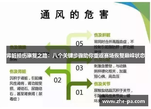 肾脏损伤康复之路:八个关键步骤助你重返赛场恢复巅峰状态 肾脏损伤康复之路:八个关键步骤助你重返赛场恢复巅峰状态