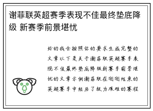 谢菲联英超赛季表现不佳最终垫底降级 新赛季前景堪忧
